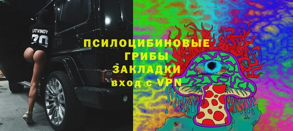 spice Вязьма