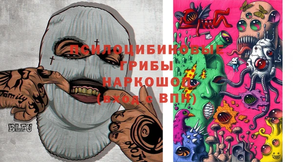 spice Вязьма